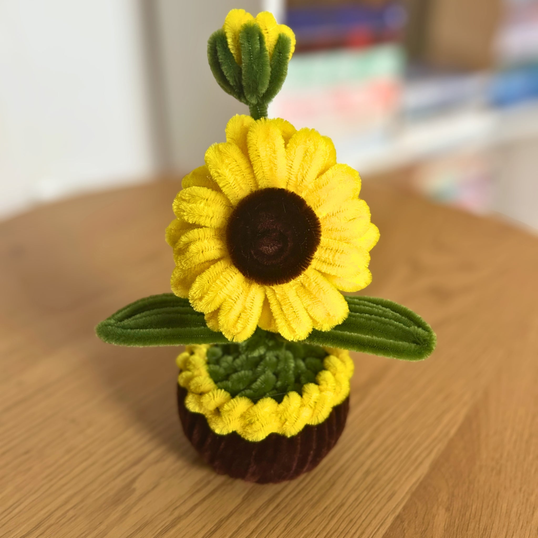 Slunečnice v květináči