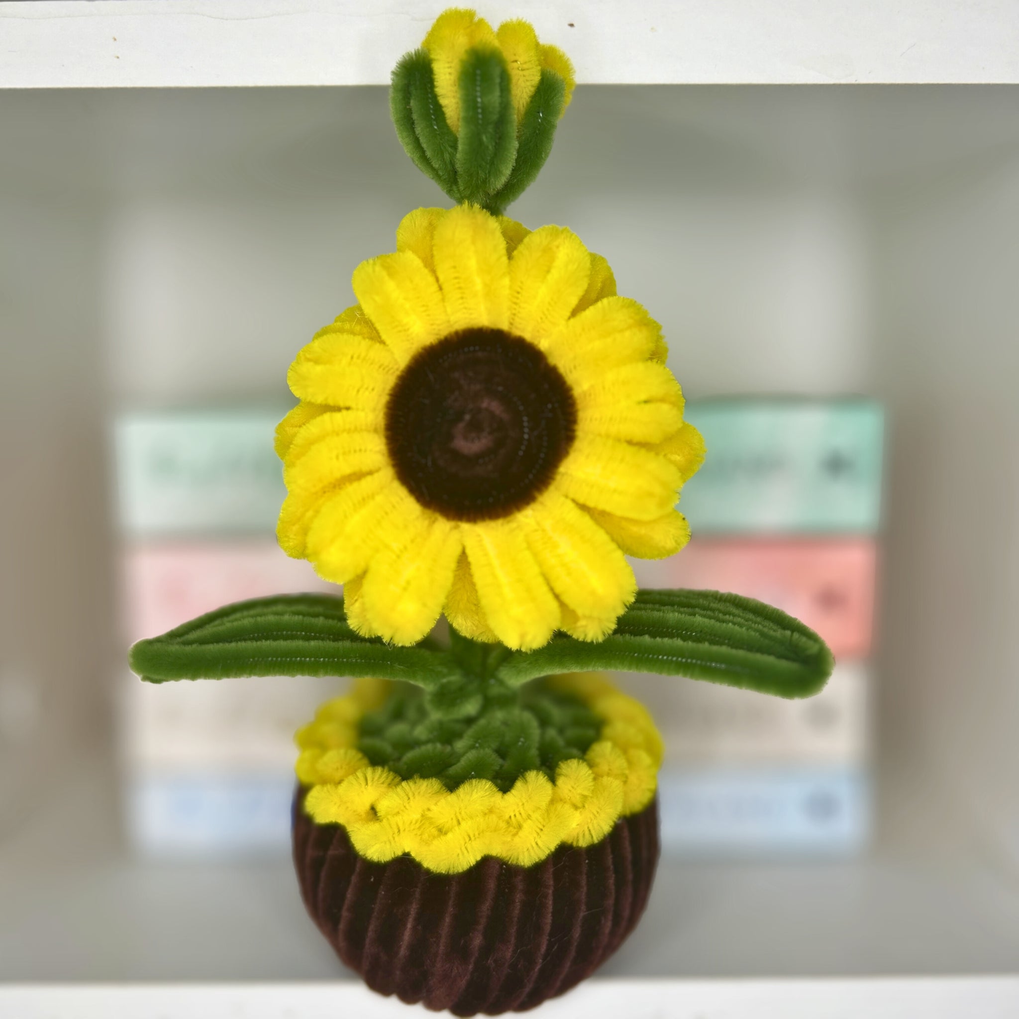 Slunečnice v květináči